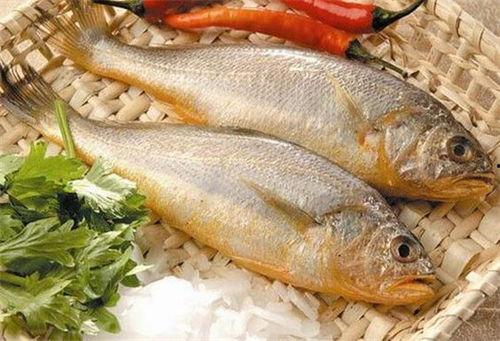 小黄鱼爆料新闻报道视频,揭秘新闻报道背后的真相  第1张