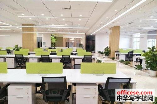 深圳办公楼爆料视频最新,揭秘职场生存真相  第2张